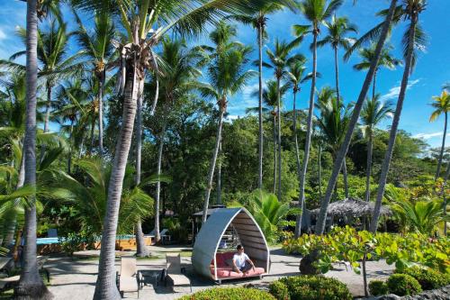 蓬塔雷纳斯Isla Chiquita Glamping Hotel的坐在棕榈树公园帐篷里的人