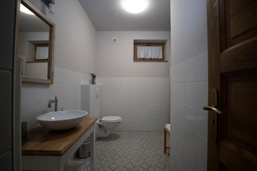 蒂萨菲赖德Egyszervolt Házikó的白色的浴室设有水槽和卫生间。