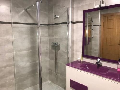 麦迪纳·德尔·坎普Lacasadeyolandayedu的带淋浴和紫色水槽的浴室