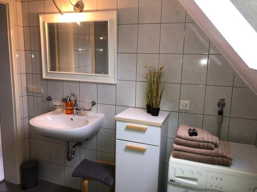 黑措根奥拉赫Riverview Loft in Central Herzogenaurach的浴室配有盥洗盆、镜子和盥洗盆