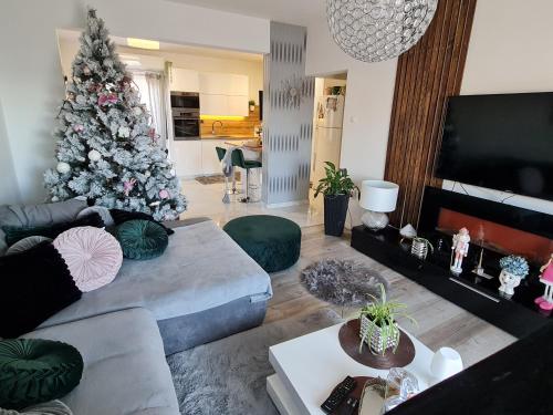 珀德垂那Luxury Apartments Mia的客厅配有圣诞树和沙发