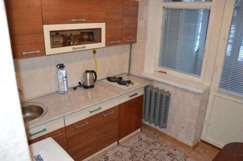 基希讷乌Apartment Miorita的一个带木制橱柜和水槽的小厨房