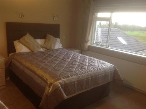 斯莱戈Lilac Manor的一间卧室设有一张床和一个窗口