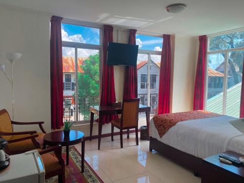 帕拉马里博帕拉西奥斯酒店的卧室配有一张床、一张书桌和窗户。