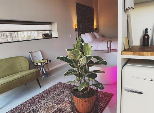 阿纳姆Home8 studio’s的一间带盆栽植物的客厅和一间卧室