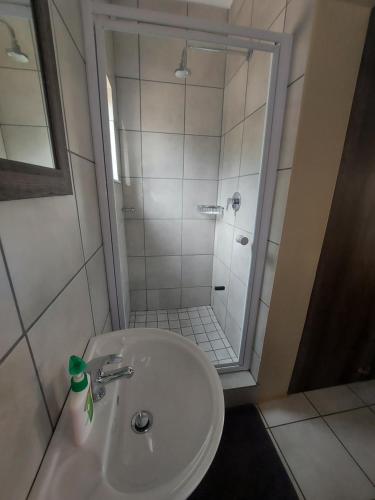波罗瓜尼DeLutz Overnight Accommodation Room 2的带淋浴和白色盥洗盆的浴室
