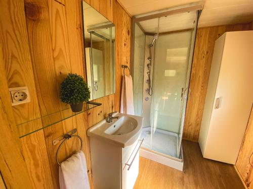 贝尼多姆布兰卡露营竞技场酒店的一间带水槽和淋浴的小浴室