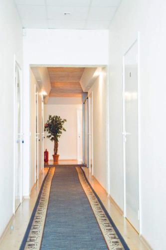 马里扬泊列TORINO lounge的地板上带地毯的走廊