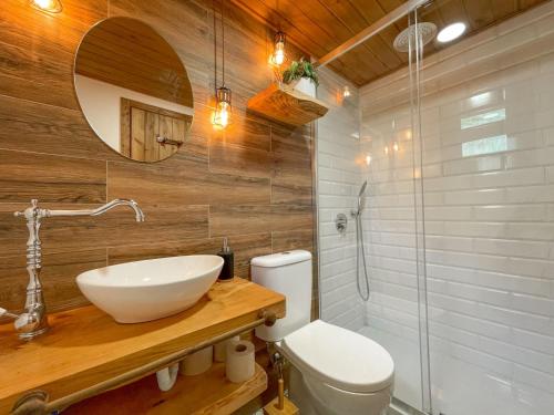 丰沙尔Mountain Eco Shelters的一间带水槽、卫生间和镜子的浴室