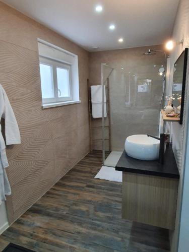 HésingueLa Chambre des Secrets的一间带水槽和淋浴的浴室