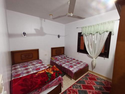 库塞尔Qussier sea view apartment的一间卧室设有两张床和窗户。