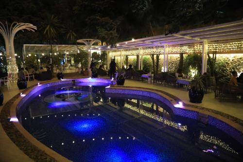 Bonanza Addis Hotel内部或周边的泳池