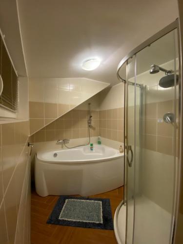 坦瓦尔德Apartment Krkonošská的设有带浴缸和淋浴的浴室。