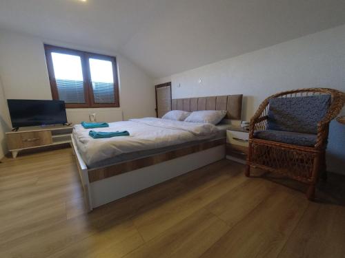 布雷佐维察Mountain House - Brezovica的一间卧室配有一张床、一把椅子和电视