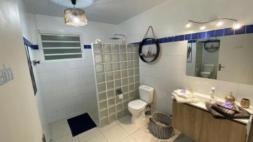 Saint-PierreMAJO BEACH的带淋浴、卫生间和盥洗盆的浴室
