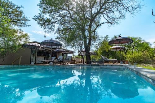 侯斯普瑞特Safari Moon Luxury Bush Lodge的一个带蓝色水和遮阳伞的游泳池