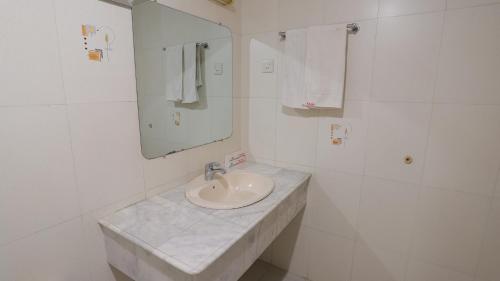 巴纳内拉斯新城国际酒店的白色的浴室设有水槽和镜子
