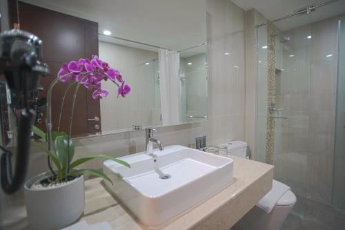 马贾伦卡Hotel Horison Ultima Kertajati的一间带水槽和盆栽植物的浴室
