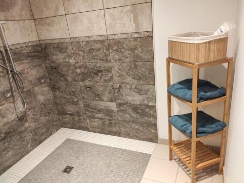 OgnesLE CHARME D OGNES的带淋浴和2条蓝色毛巾的浴室