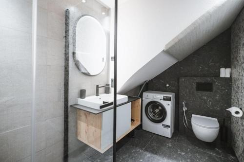 卢塔戈AHRN Natur Apartment的一间带水槽和洗衣机的浴室