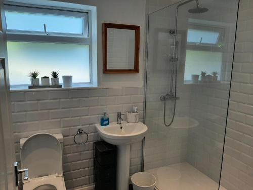 普里茅斯Quintessential, secluded South Devon cottage的一间带水槽、淋浴和卫生间的浴室