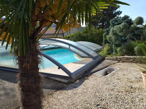 拉罗克德格兰Fan 36B的棕榈树旁的游泳池