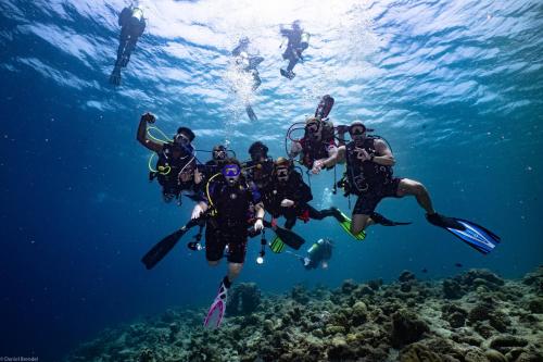 马米基里夏玛国潜水宾馆的相册照片