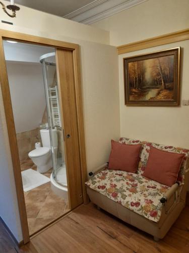 斯克拉斯卡波伦巴Dom jak dawniej的带沙发和卫生间的客厅
