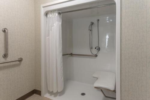 密尔沃基Holiday Inn Express & Suites Milwaukee NW - Park Place, an IHG Hotel的带淋浴和浴帘的浴室