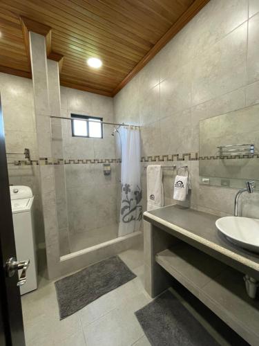 比亚米尔港Apartahotel Casa Soleil的带淋浴、盥洗盆和卫生间的浴室