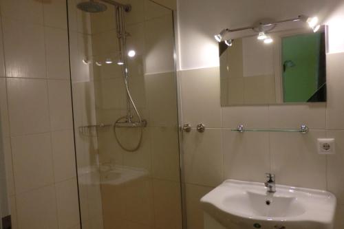 Freiensteinau盖斯特兹米尔瓦格尔斯贝尔格旅馆的带淋浴、盥洗盆和镜子的浴室