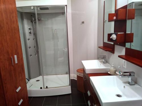 布罗蒙Le 201 Champlain Bromont的带淋浴和盥洗盆的浴室