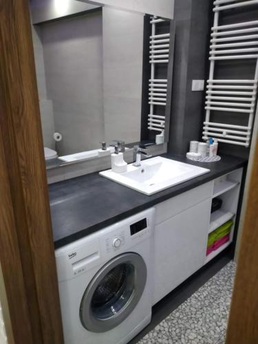 克雷尼察apartament rodzinny的一间带洗衣机和水槽的浴室
