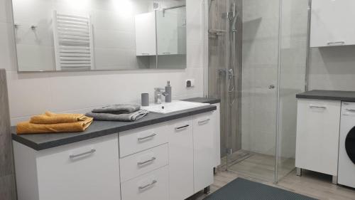 奥特穆胡夫Apartament STYL的白色的浴室设有水槽和淋浴。