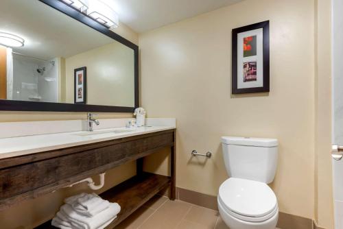 宾厄姆顿Comfort Inn Binghamton I-81的一间带卫生间、水槽和镜子的浴室