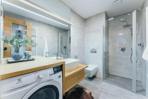 什平德莱鲁夫姆林Luxury Apartments Adelka的带淋浴的浴室内的洗衣机
