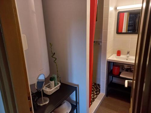 雷夫菲勒普Háromfenyő Apartman的一间带水槽和镜子的小浴室
