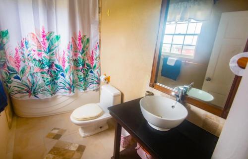 圣菲利普Fortescue Cherry Blossom Apartments的浴室配有水槽和带浴帘的卫生间