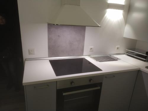 维也纳Duplex Viennois的厨房配有水槽和台面