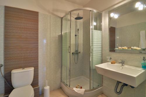阿达玛斯里加斯酒店的带淋浴、卫生间和盥洗盆的浴室