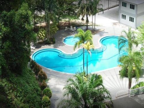 卢穆特Lumut Valley Condominium的享有棕榈树游泳池的顶部景致