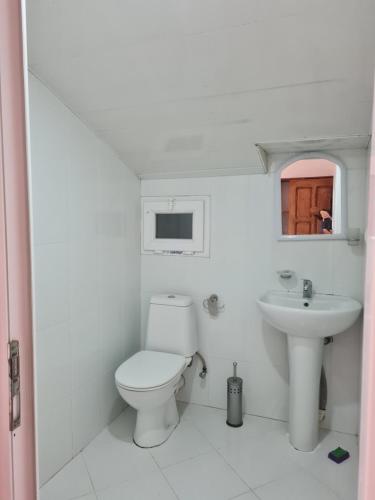 马钦加里Merabi Guest House的白色的浴室设有卫生间和水槽。