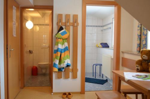 毛特恩多夫毛瑟穆尔特勒公寓的带淋浴、卫生间和门的浴室