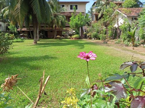 Kalutara NorthCandle House的一座房子的院子中的一个粉红色花
