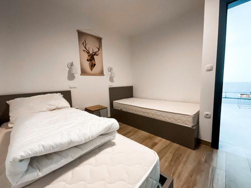 莫济列Sunshine Apartments Golte COMFORT的一间卧室设有两张床和窗户。