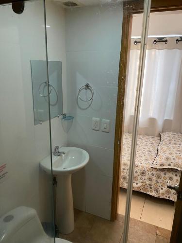 马尼萨莱斯Luxury Hostal的浴室配有盥洗盆、淋浴和卫生间