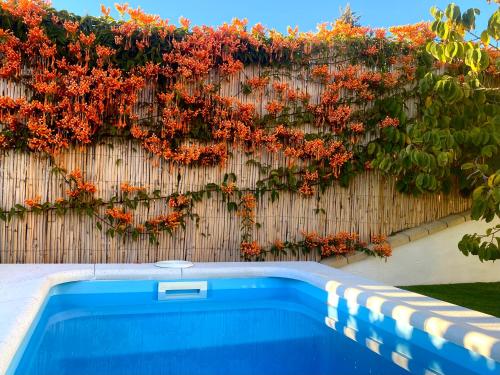 马拉加Suite Apto de Invitados- Heated Pool-Piscina Climatizada- Montes de Málaga的 ⁇ 上有一个蓝色的泳池和红色的鲜花