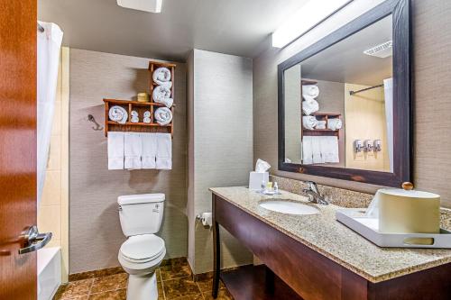 格伦代夫格伦代夫阿斯托里亚套房酒店的一间带卫生间、水槽和镜子的浴室