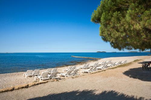 罗维尼Maistra Select Villas Rubin Resort的一群椅子在靠近水面的海滩上