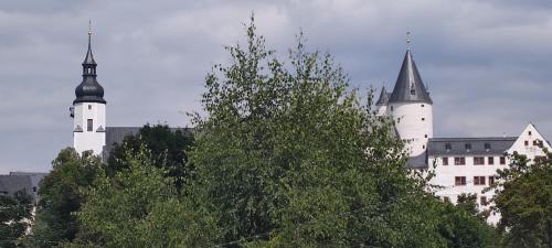 施瓦岑贝格Ferienwohnung Dick Schwarzenberg的一座白色的大城堡,两座塔楼在树后